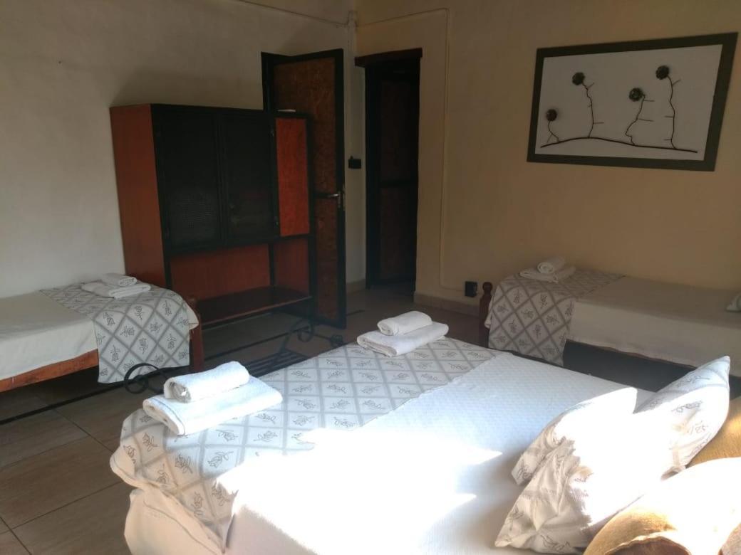 Nuevas Cabanas Del Sol San Lorenzo  Luaran gambar
